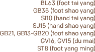 Yang Wei Connecting Points English