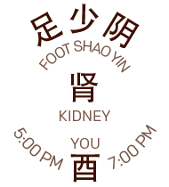 Kidney